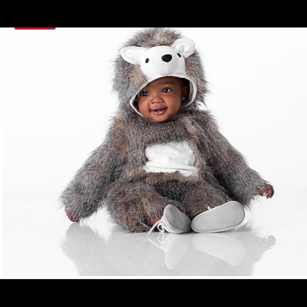 Pottery Barn Kids Hedgehog Costume